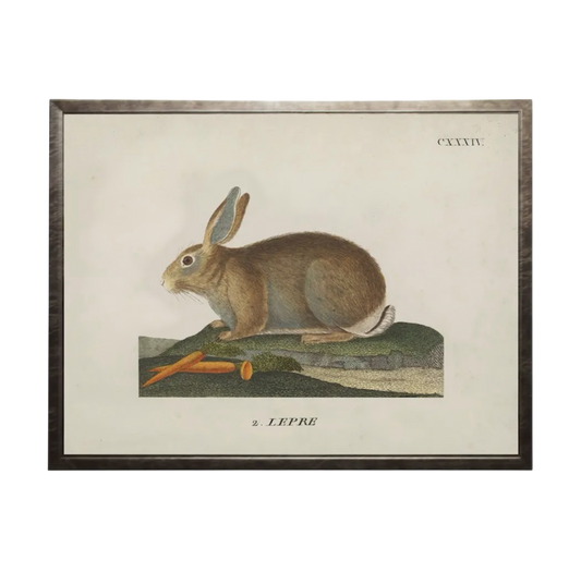 Vintage Bunny Bookplate