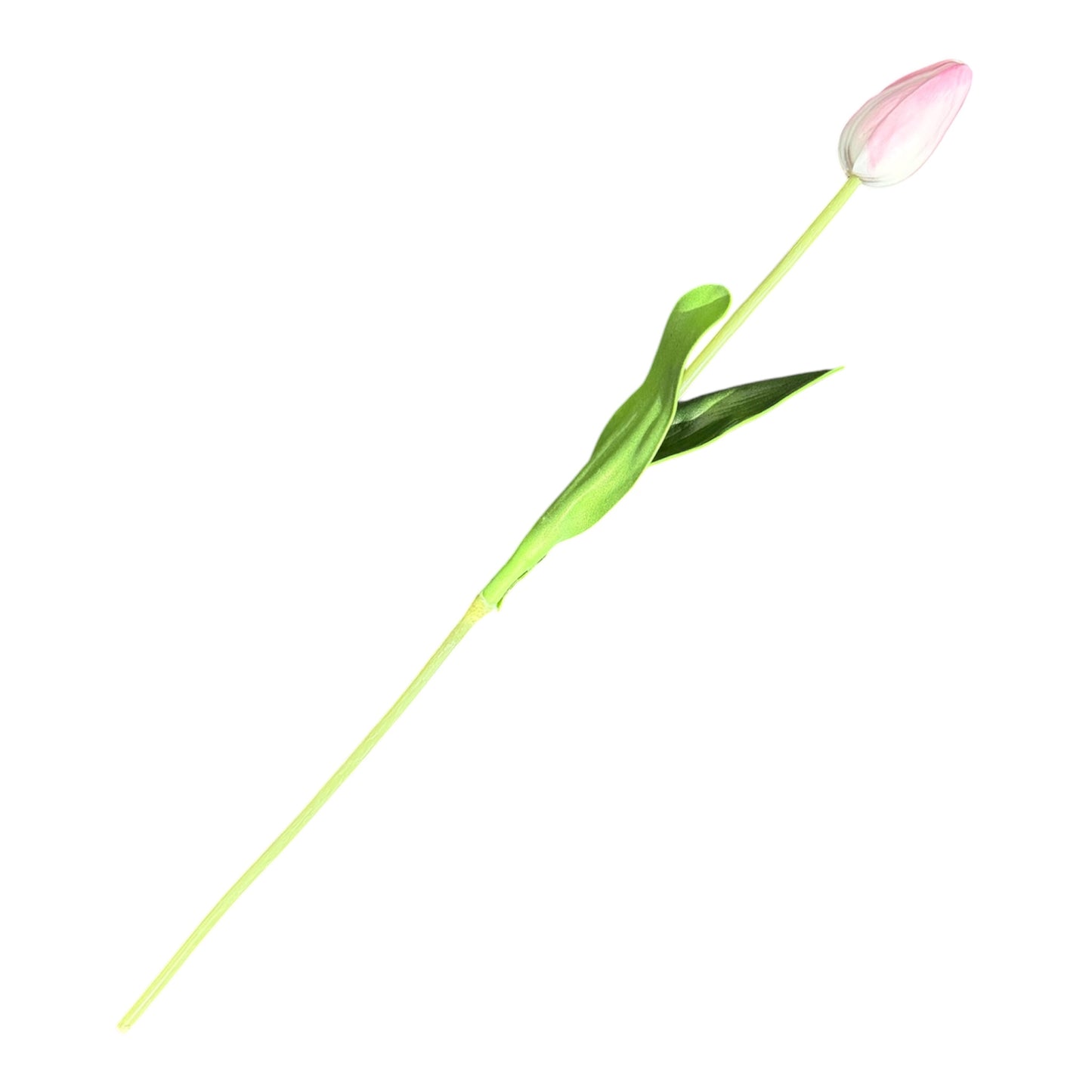 Pointed Tulip 15.5”