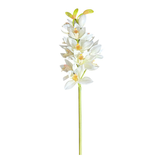 Orchid Cluster 20”