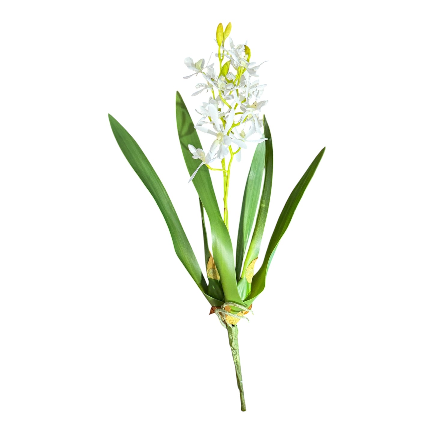 Orchid Vanda 16”