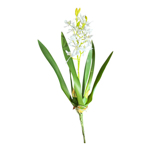 Orchid Vanda 16”