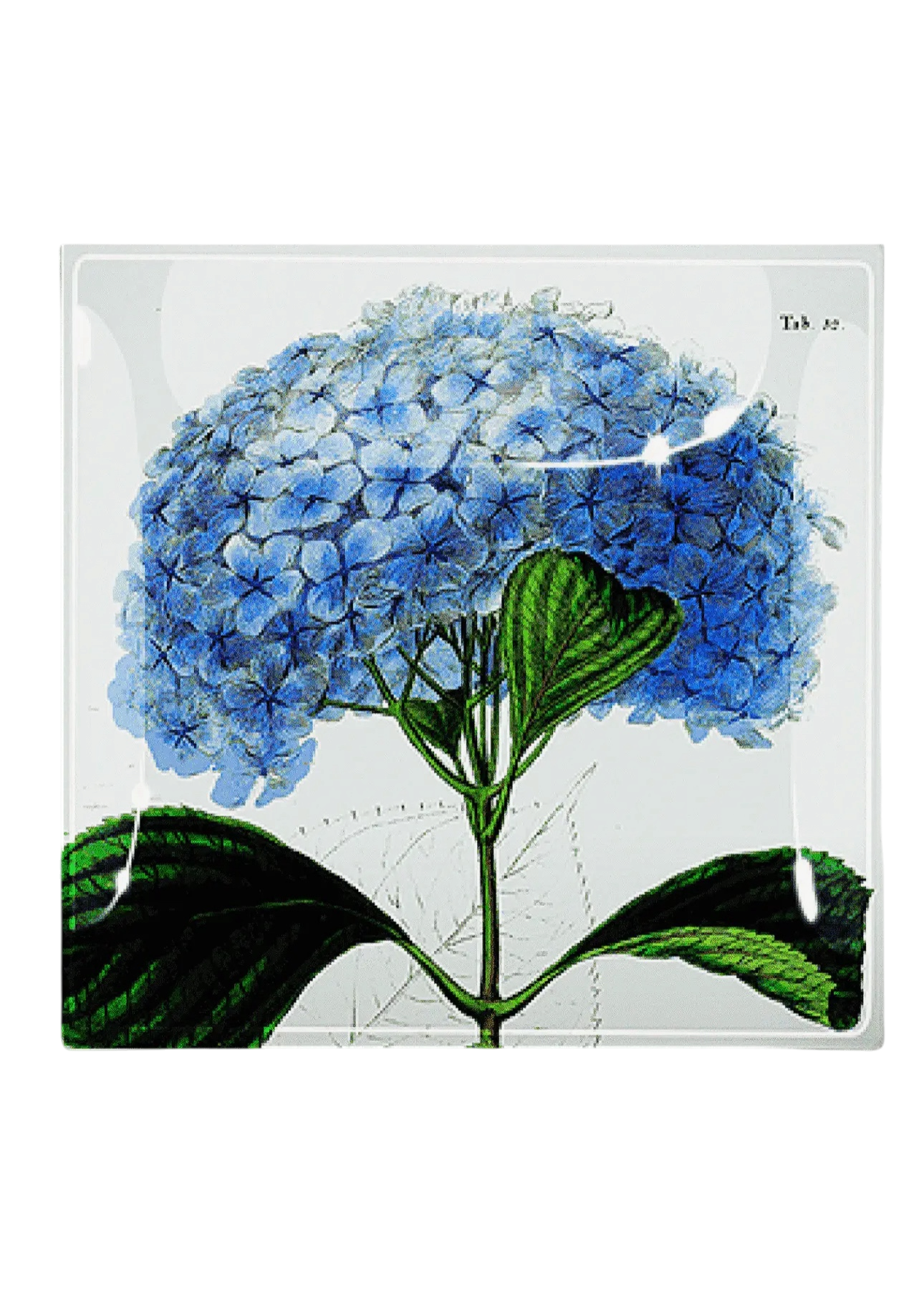 Blue Hydrangea Decoupage Tray