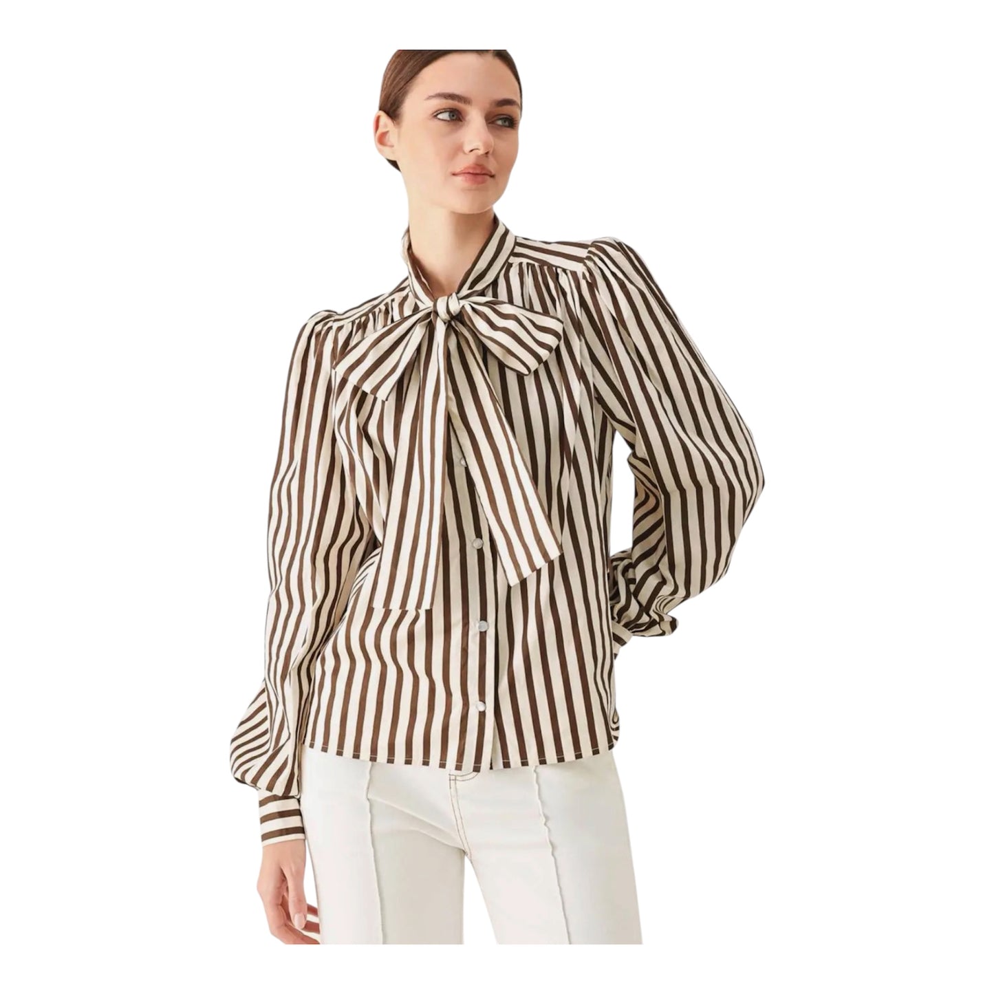 Brown Stripe Top