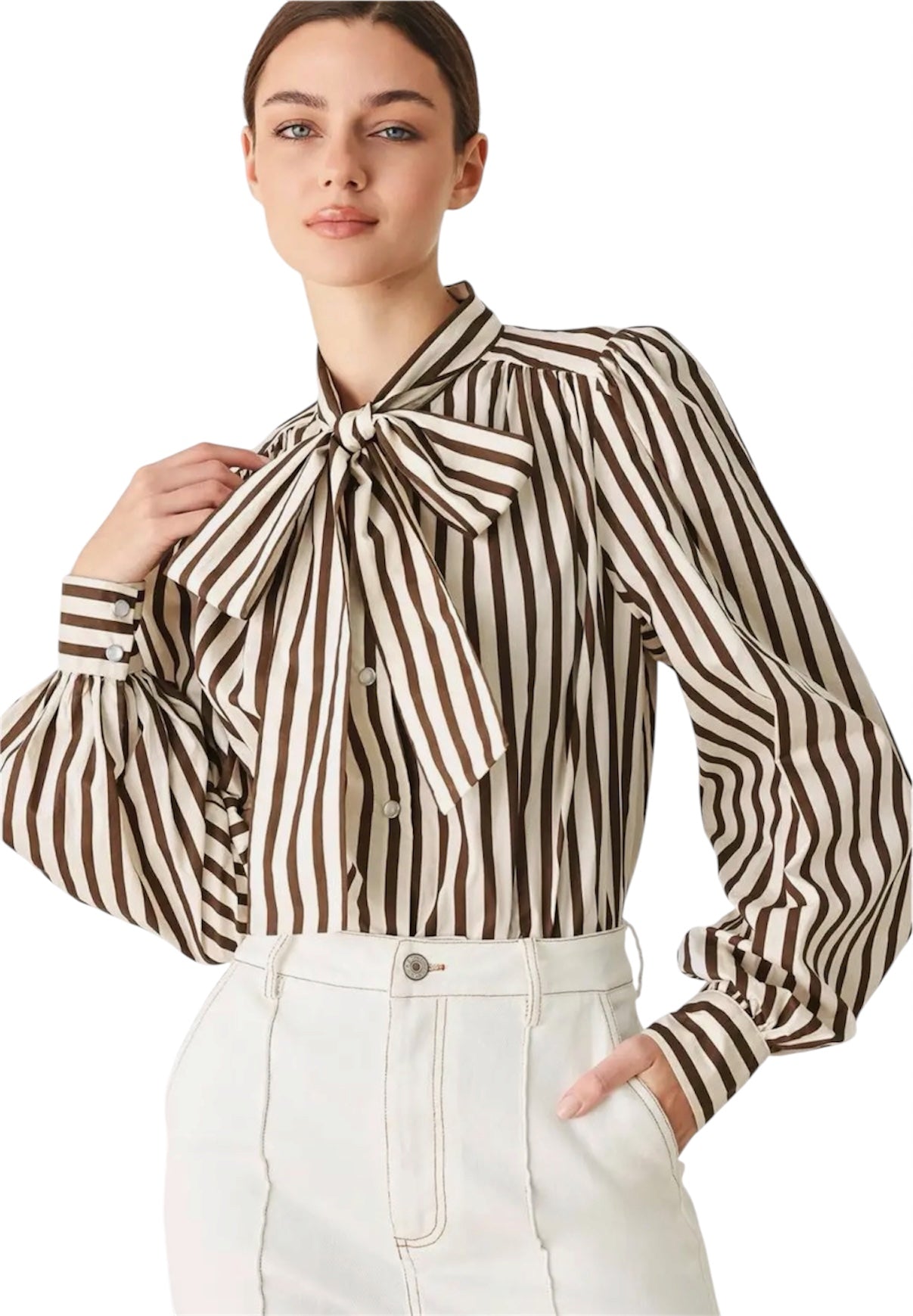Brown Stripe Top