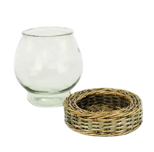 Large Glass and Wicker Terrarium