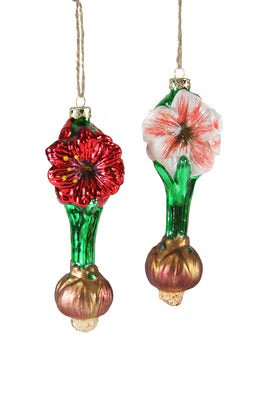 Amaryllis Bulb Ornament